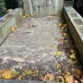 Ifor Williams 8 x 4 Plant Trailer